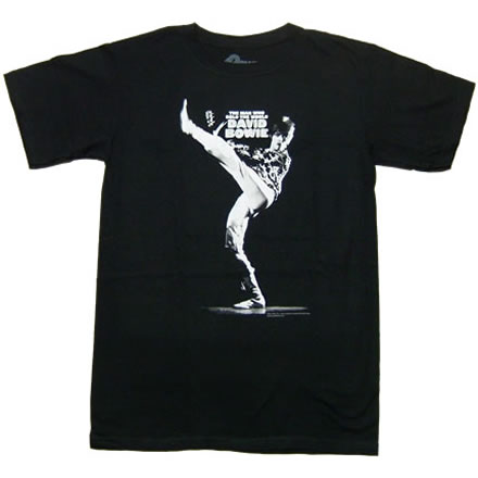 Red Pirate (レッド パイレート)／DAVID BOWIE (デヴィッド ボウイ